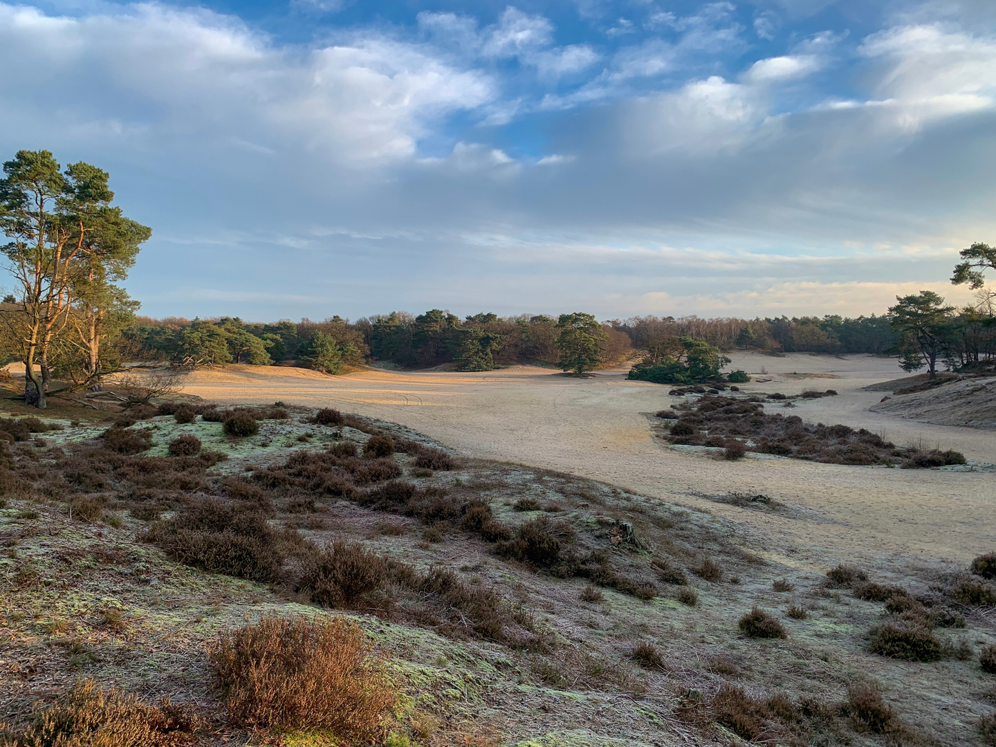 An image depicting the trail Heezerspoor Oostzijde and Monnikenboschpad Loop and its surrounding area.