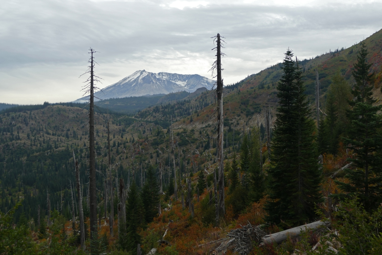 An image depicting the trail Muskrat Trail and its surrounding area.