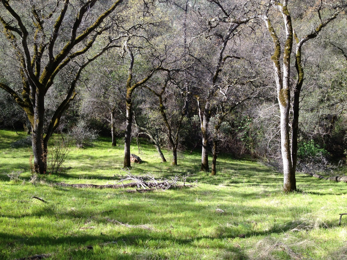 Hidden Falls Regional Park Loop