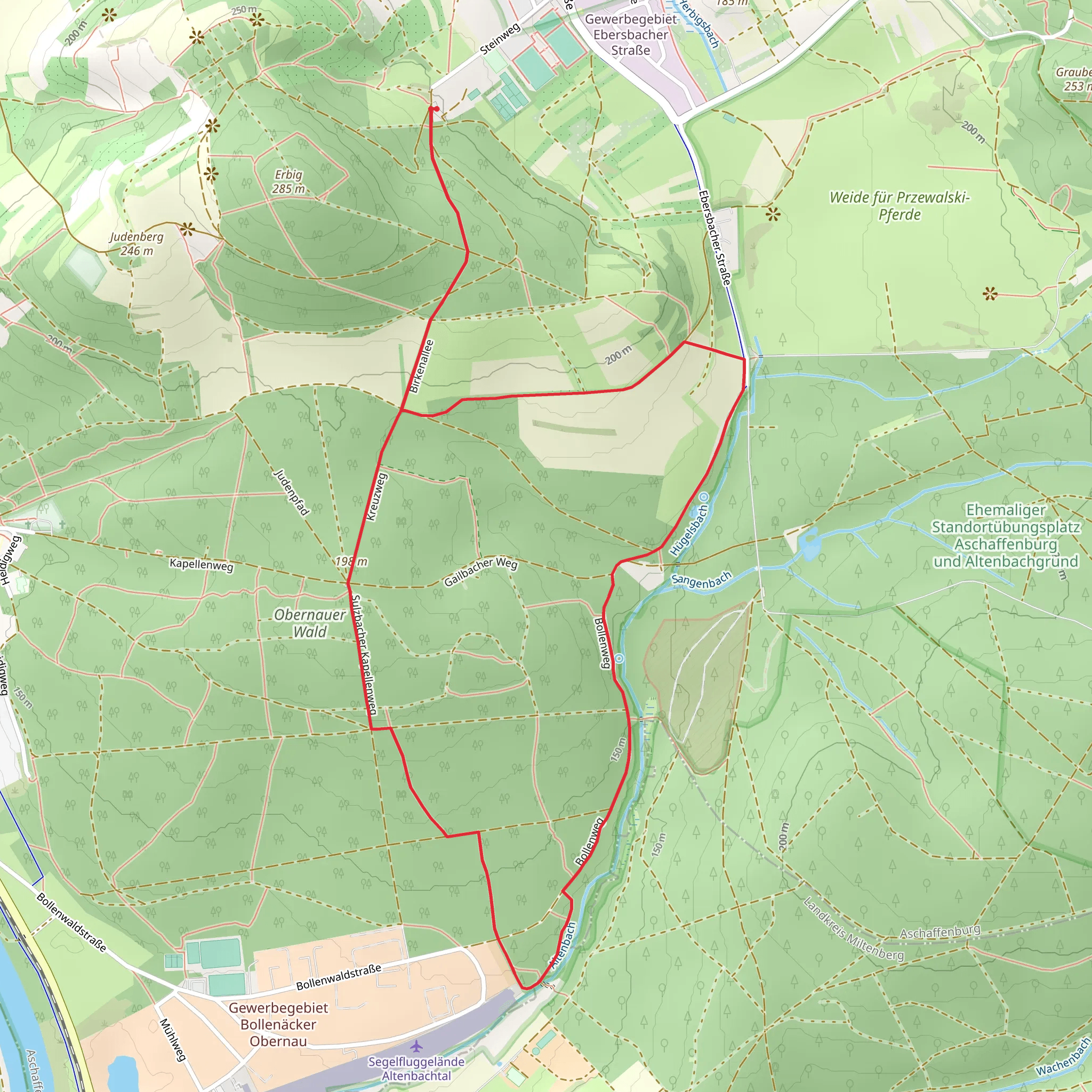 Aschaffenburg Rundweg and Mainweg Teil mobile static map