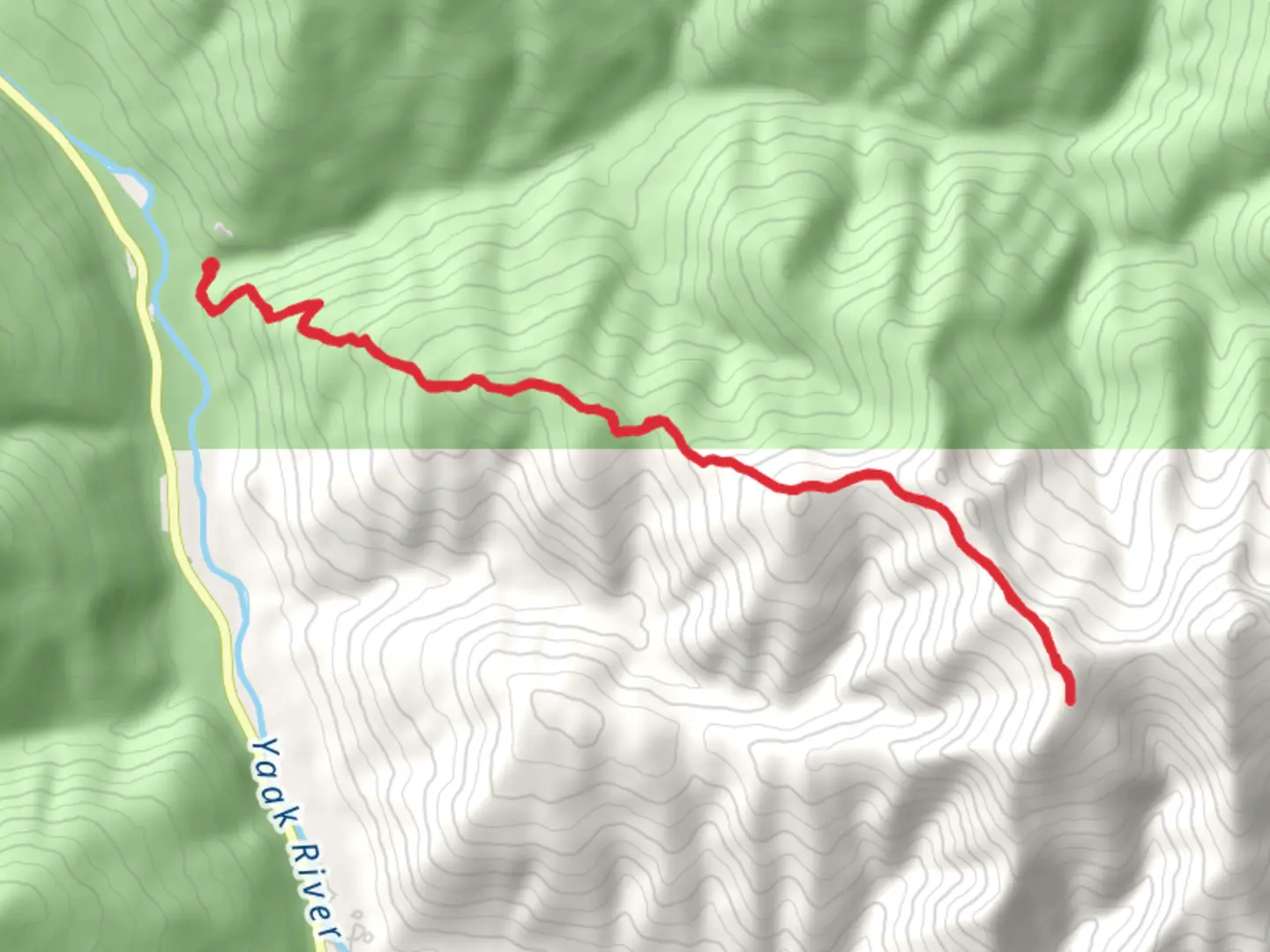 An image depicting the trail Roderick Ridge - Independence Trail and its surrounding area.