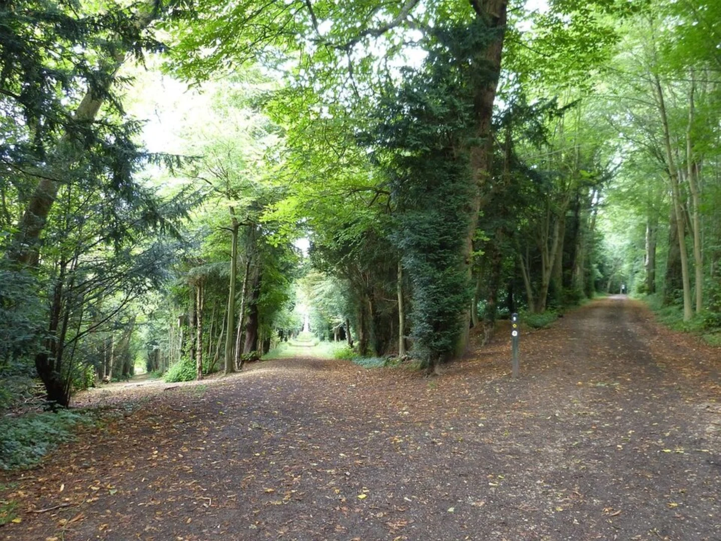 An image depicting the trail Tring Park and its surrounding area.