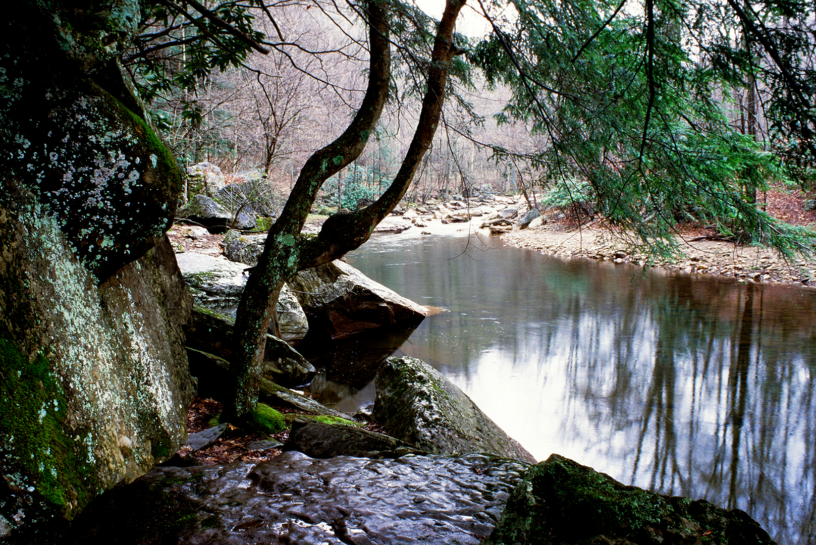 An image depicting the trail Green Mountain Trail via Big Springs Gap Trail and its surrounding area.