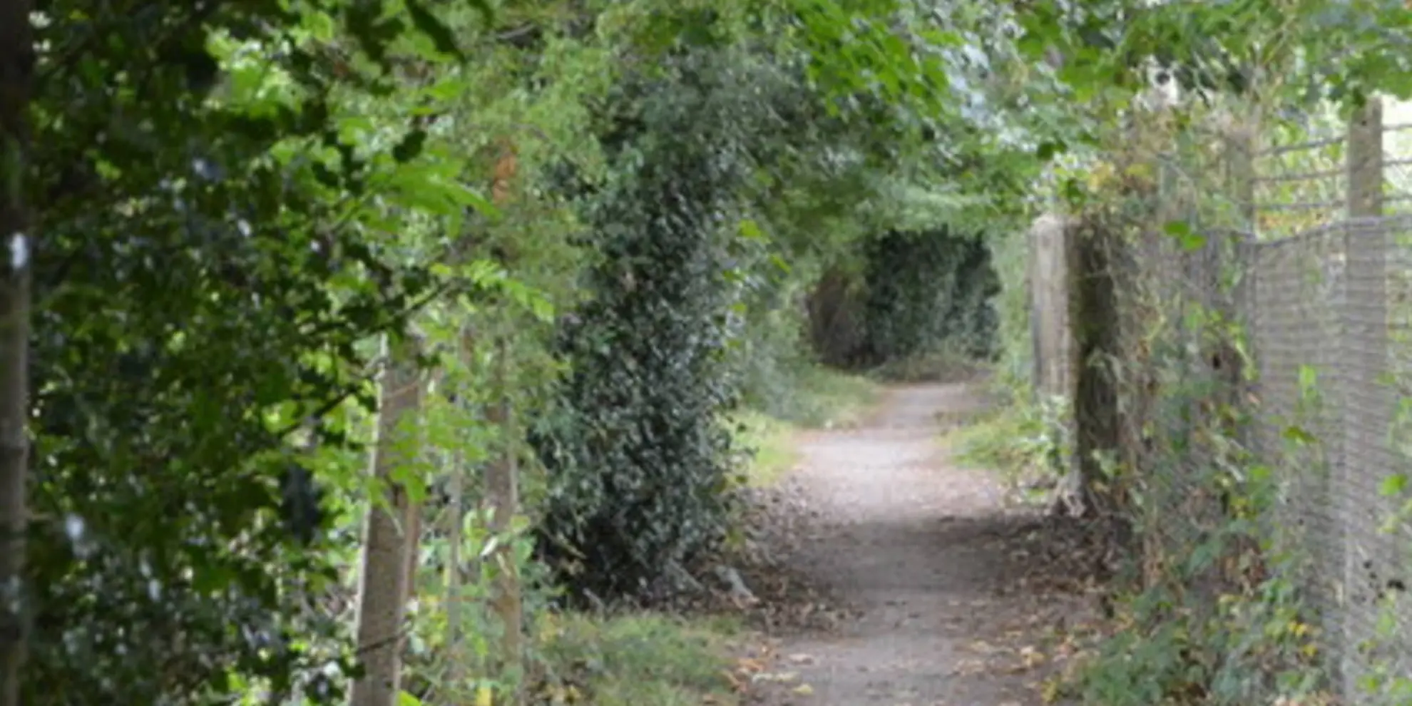 An image depicting the trail Tandridge Border Path and its surrounding area.
