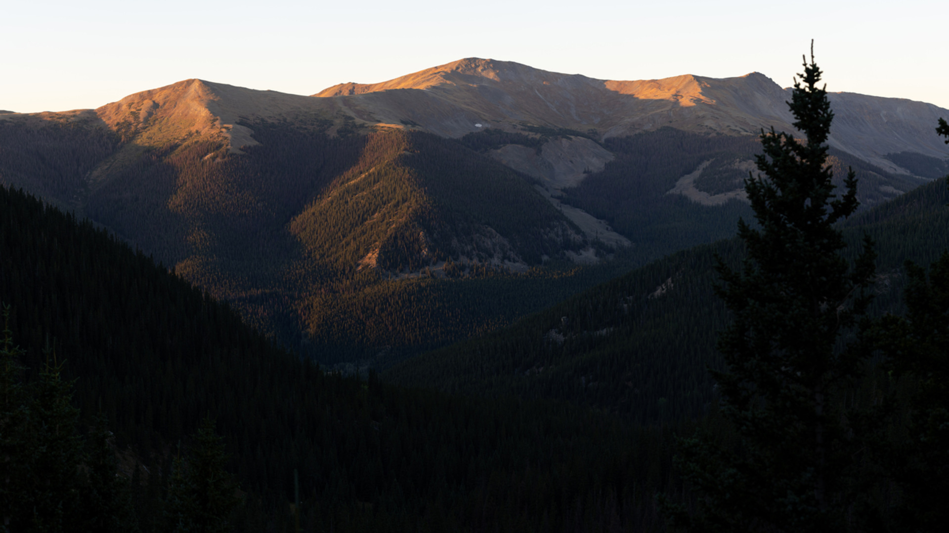 An image depicting the trail Cottonwood South Trail and its surrounding area.