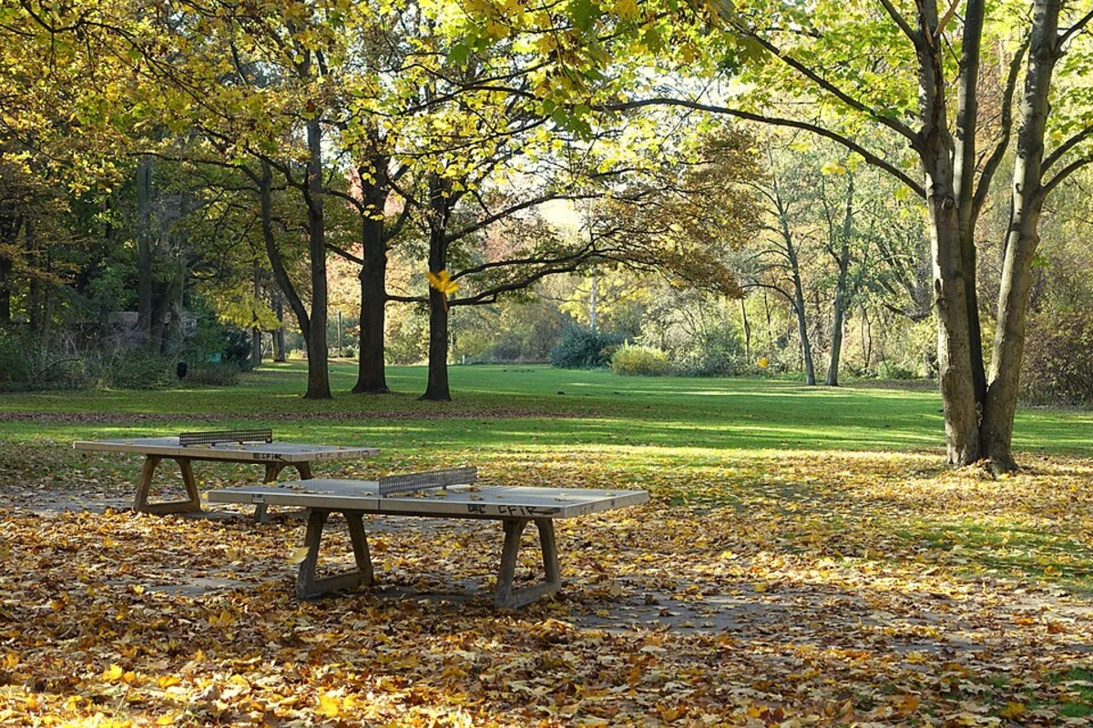 Neuer See and Spree via Grosser Weg and Spreeweg