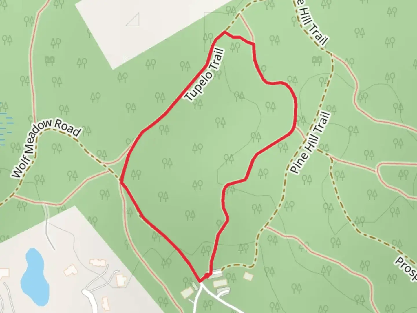 An image depicting the trail Tupelo Loop Trail and its surrounding area.