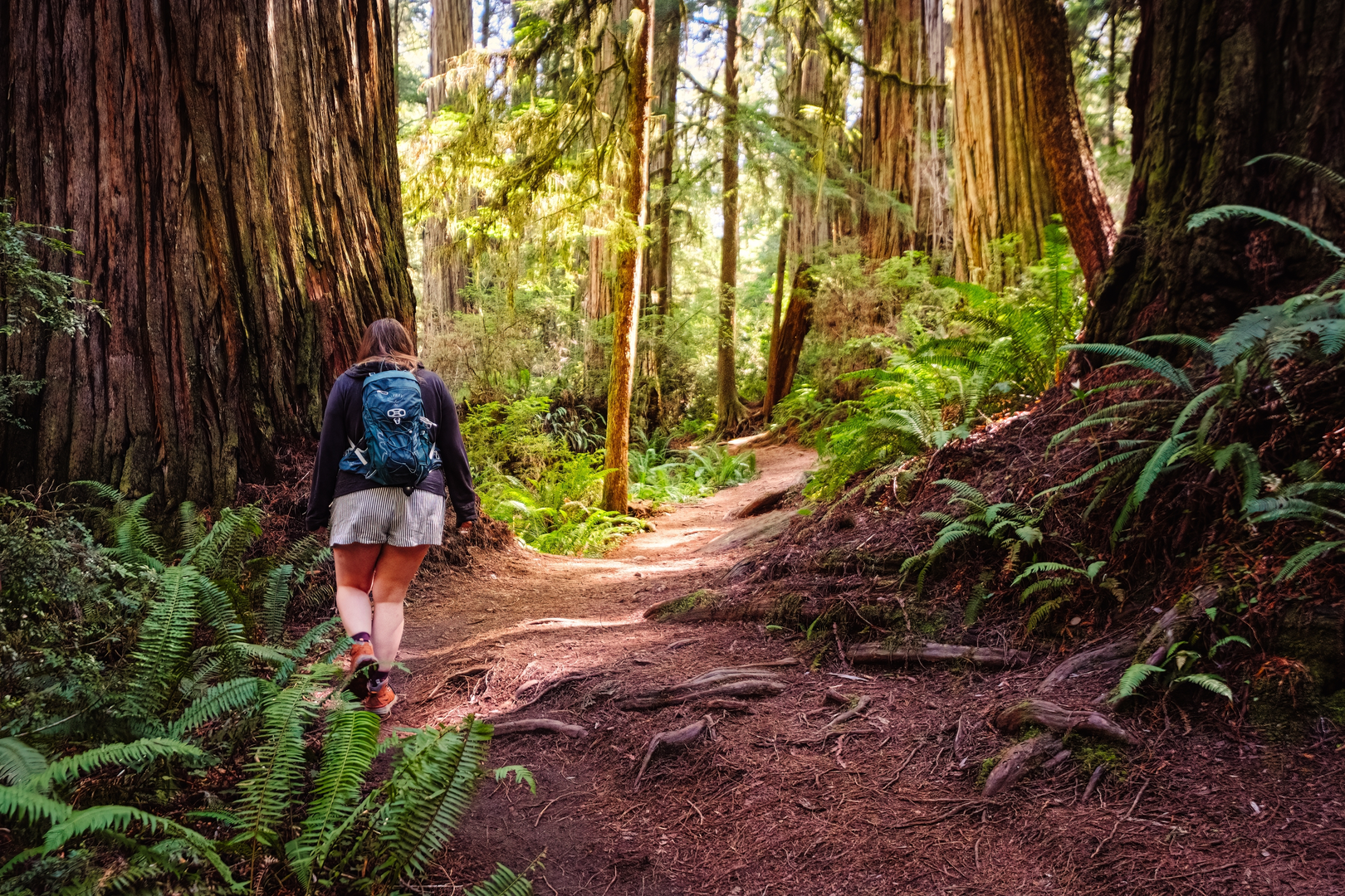 An image depicting the trail Smith River and Miller Creek and its surrounding area.