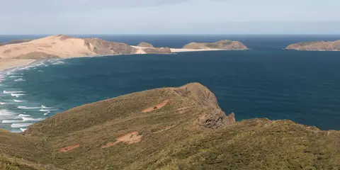 An image depicting the trail Te Werahi Beach to Twilight Beach and its surrounding area.