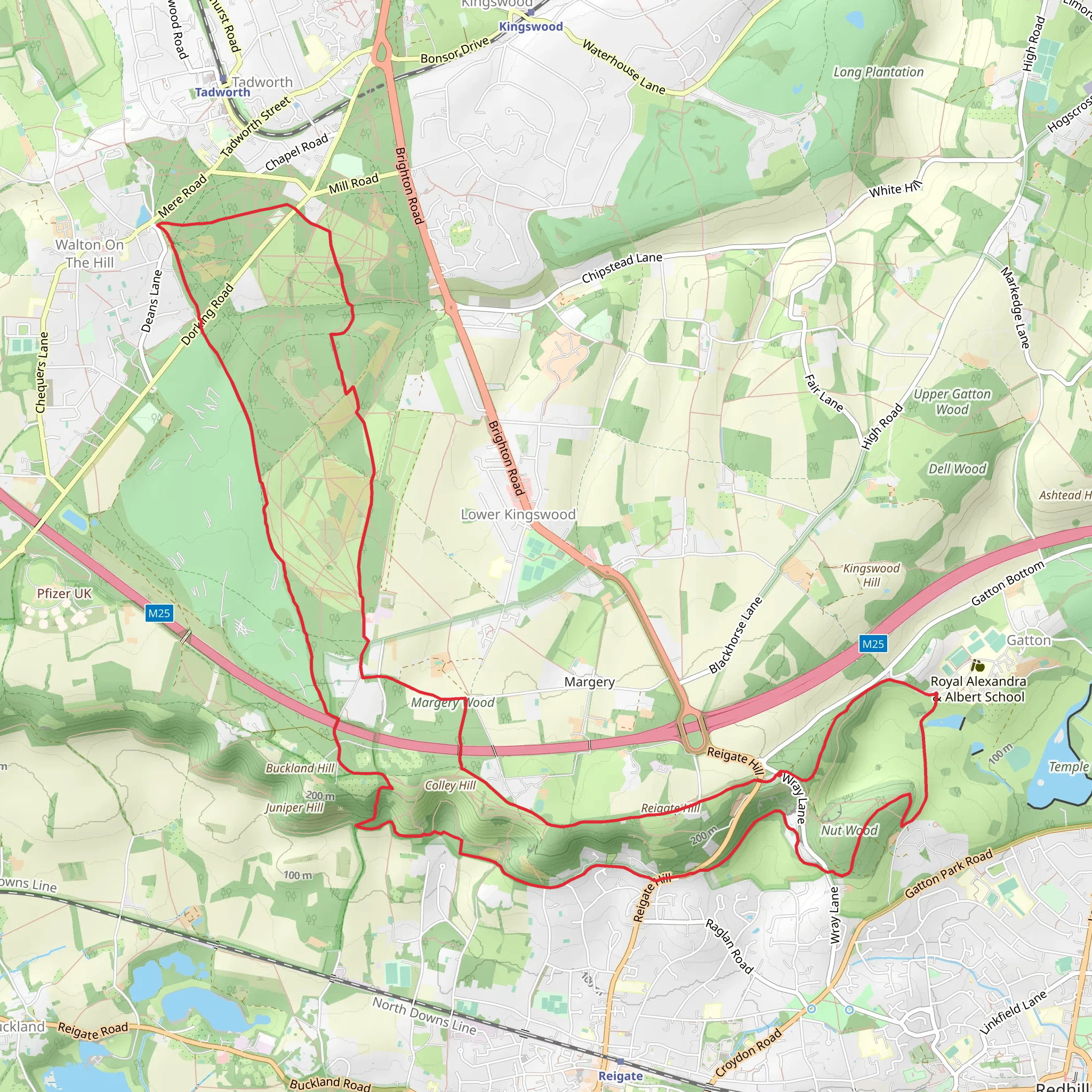 Walton on the Hill South Loop mobile static map