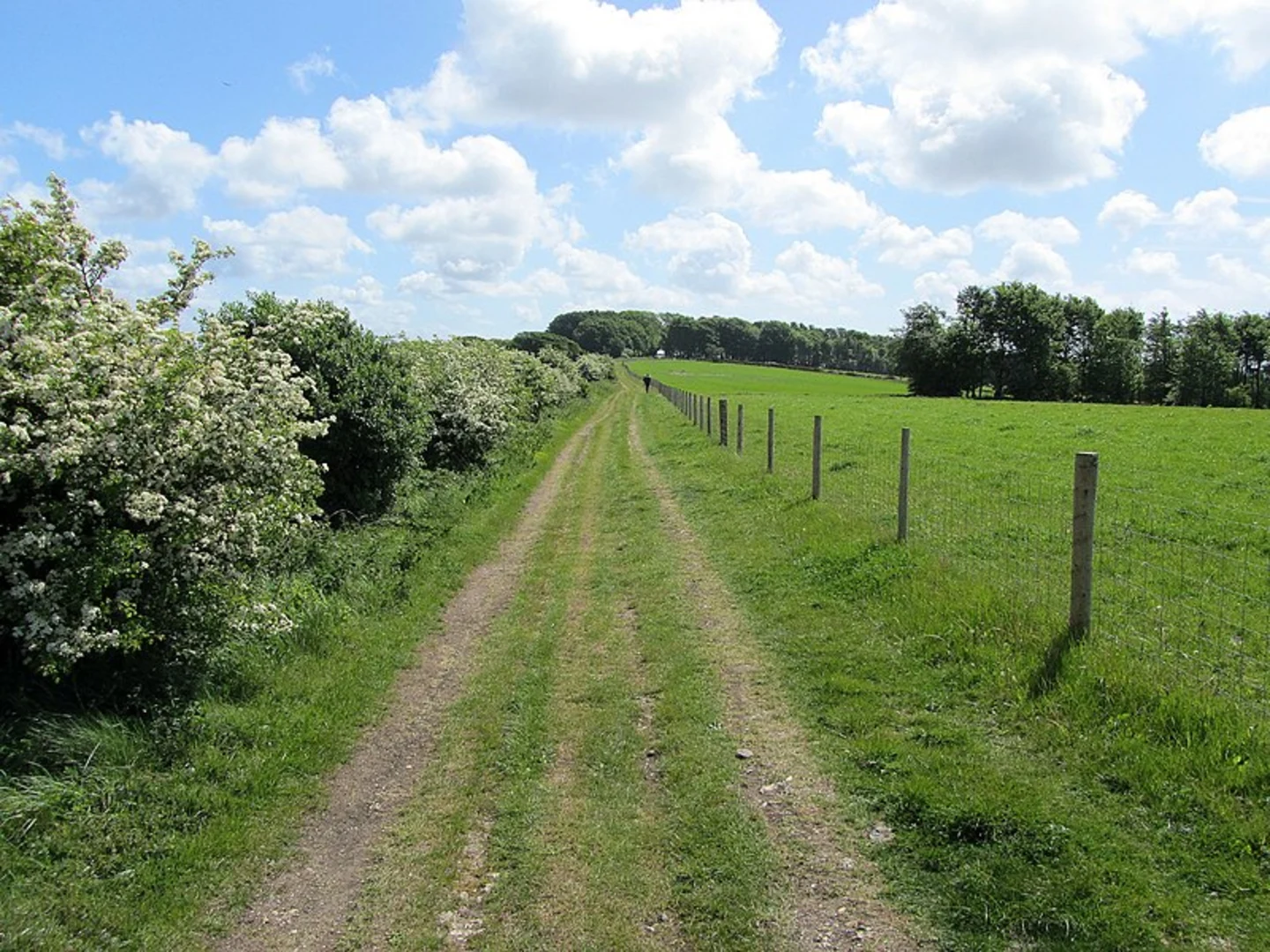 An image depicting the trail Amberley to Washington and its surrounding area.