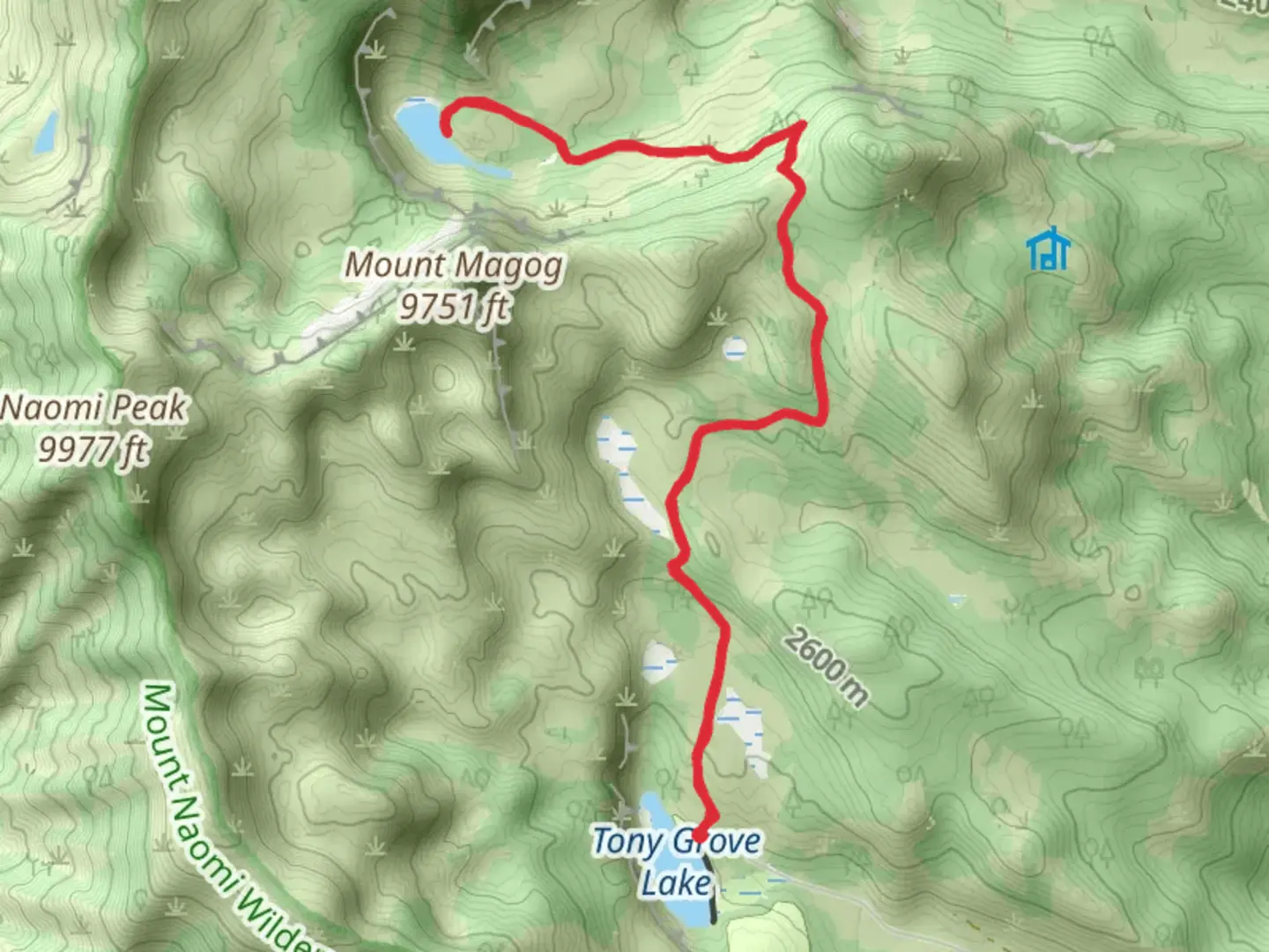 An image depicting the trail Wild Pine Lake Trail and its surrounding area.