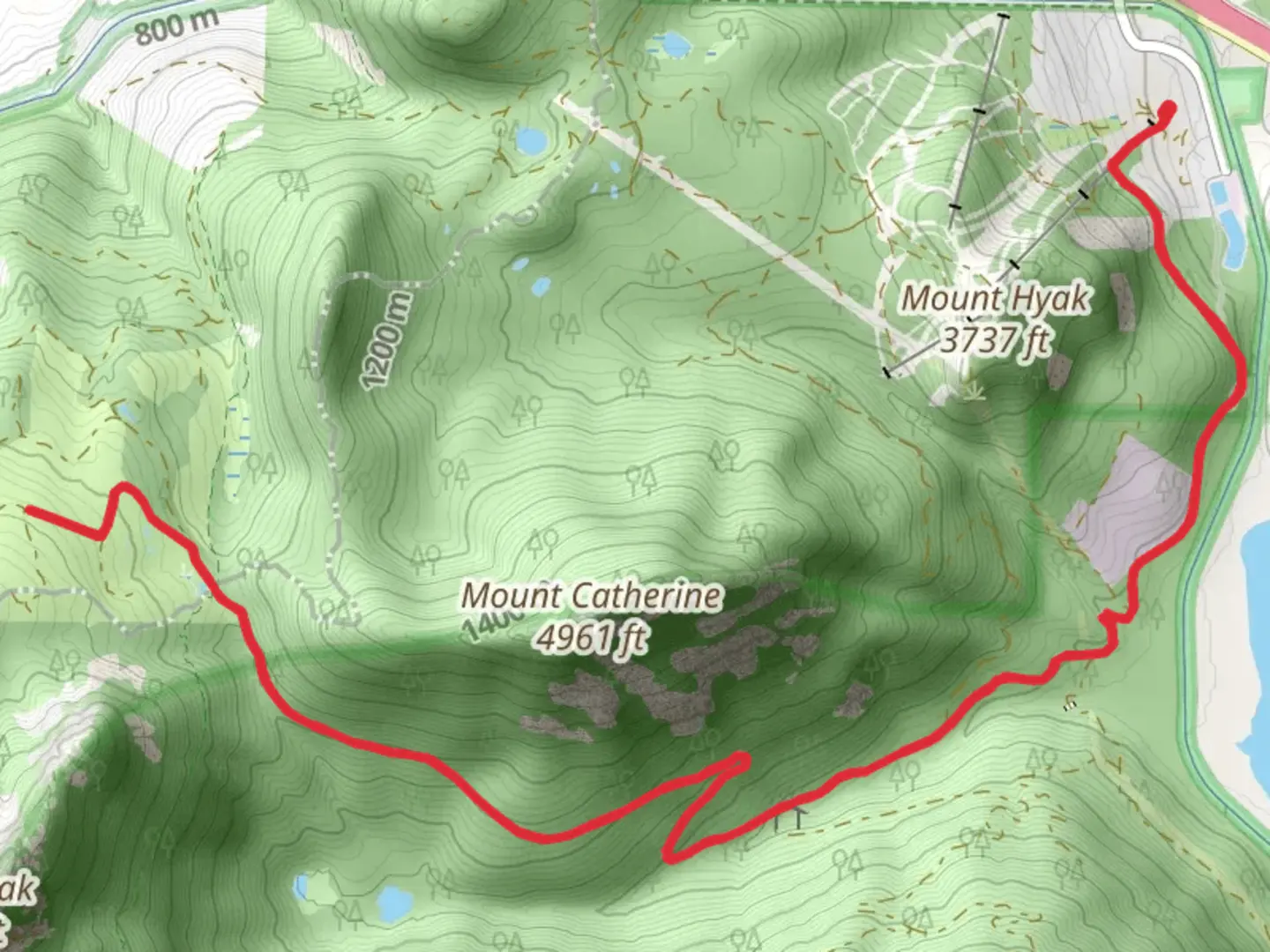 An image depicting the trail Walk to Windy Pass and its surrounding area.