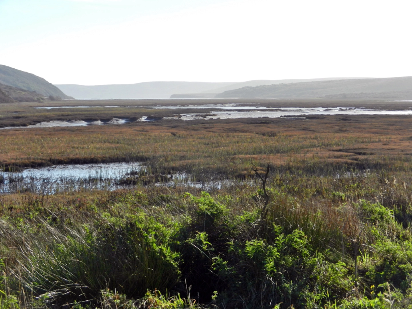 An image depicting the trail Sir Francis Drake Boulevard West Out and Back and its surrounding area.