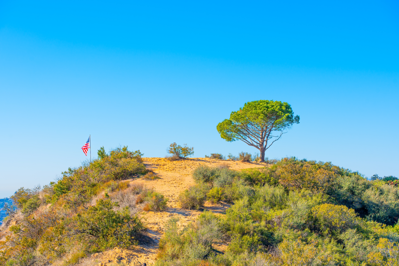 An image depicting the trail Burbank Peak, Cahuenga Peak and Mount Lee Loop and its surrounding area.