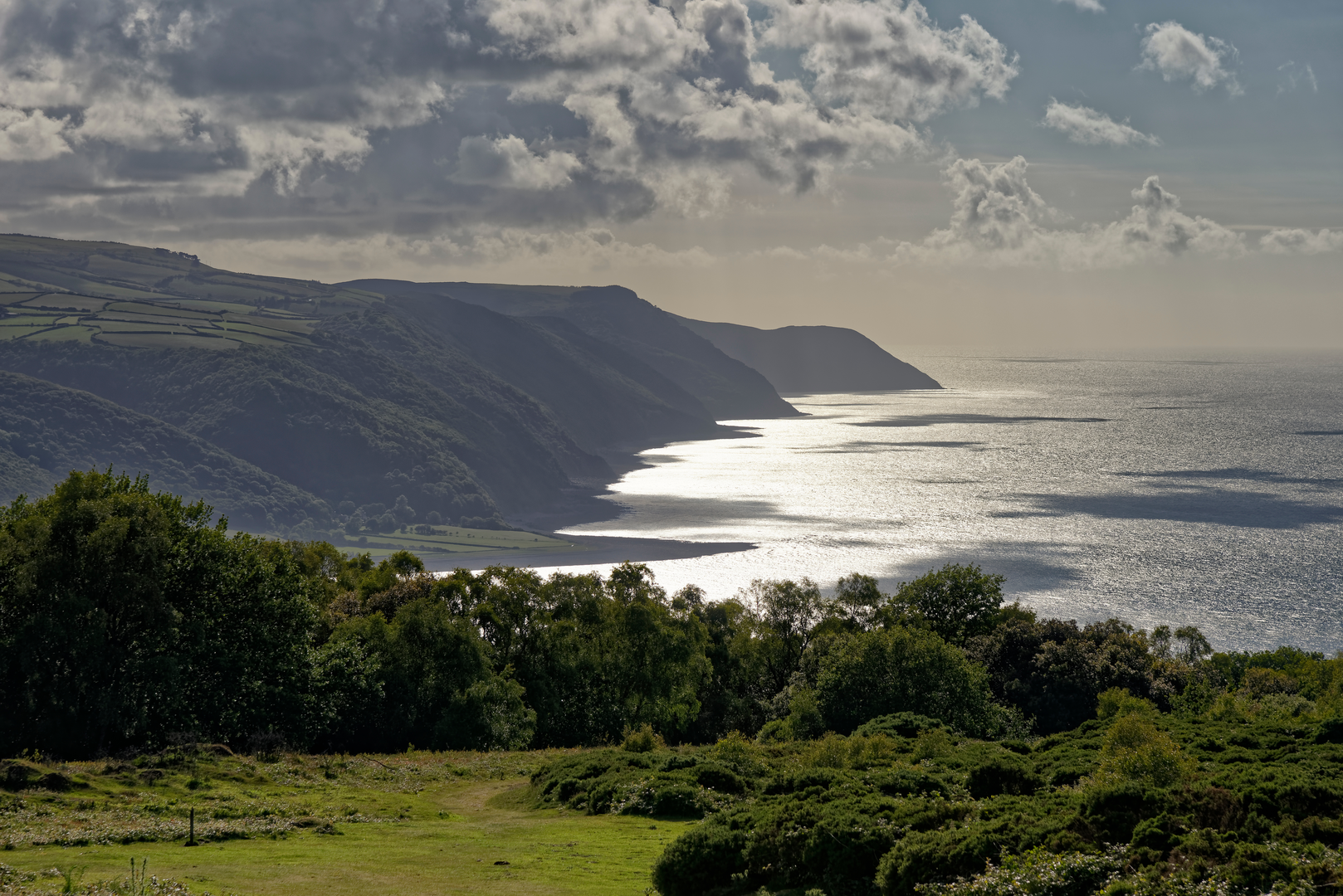 An image depicting the trail Selworthy Combe Walk and its surrounding area.