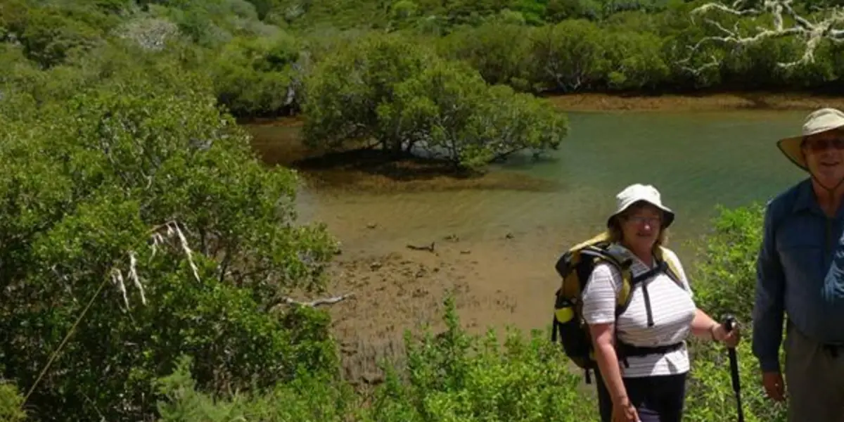 Wairakau Stream Track