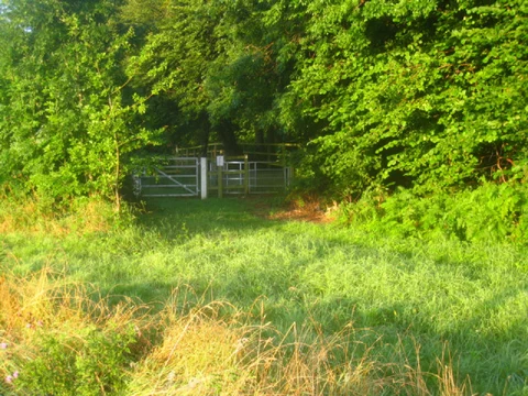 An image depicting the trail Oakley Southern Loop and its surrounding area.