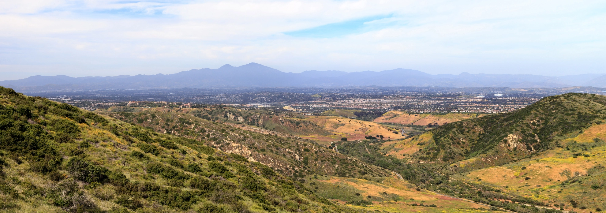 An image depicting the trail West Ridge Trail, Rock-It Trail and Mathis Canyon Trail Loop and its surrounding area.