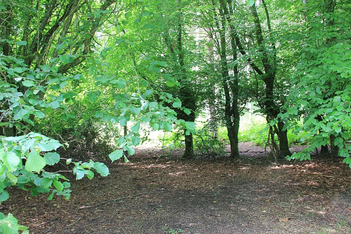 Aqua Parc Loop - Center Parcs Longleat Forest