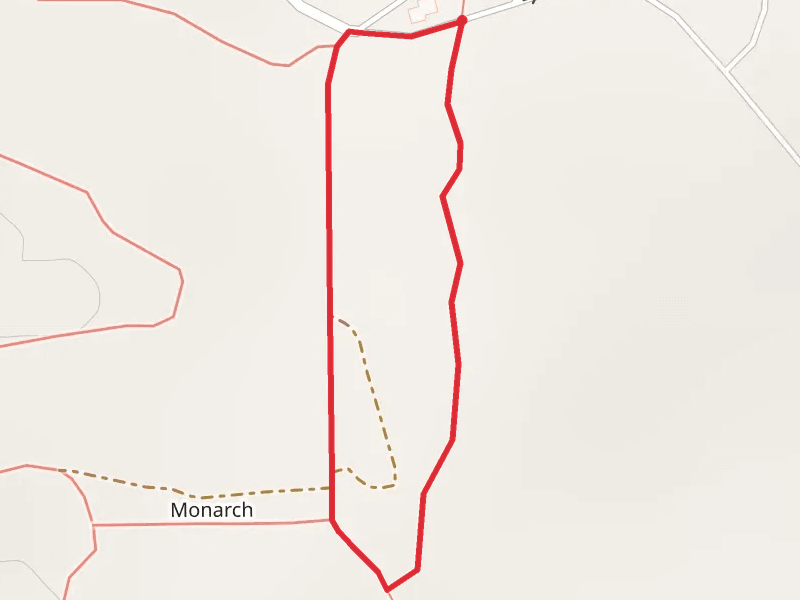 Newport Park Road Loop