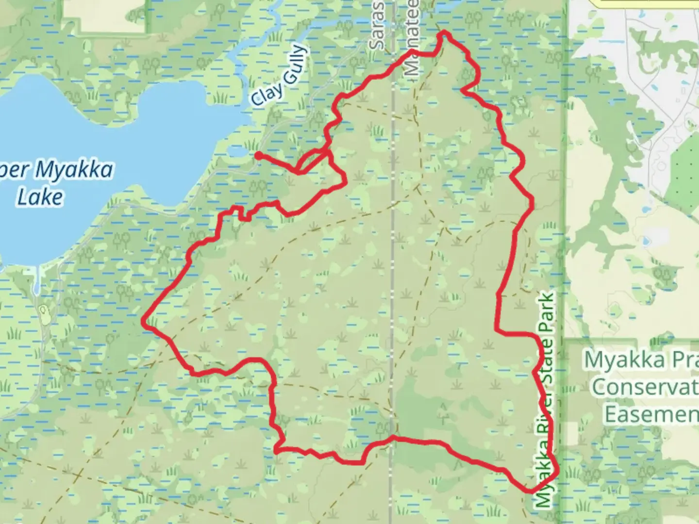 An image depicting the trail Myakka Hiking Loop Trail and its surrounding area.