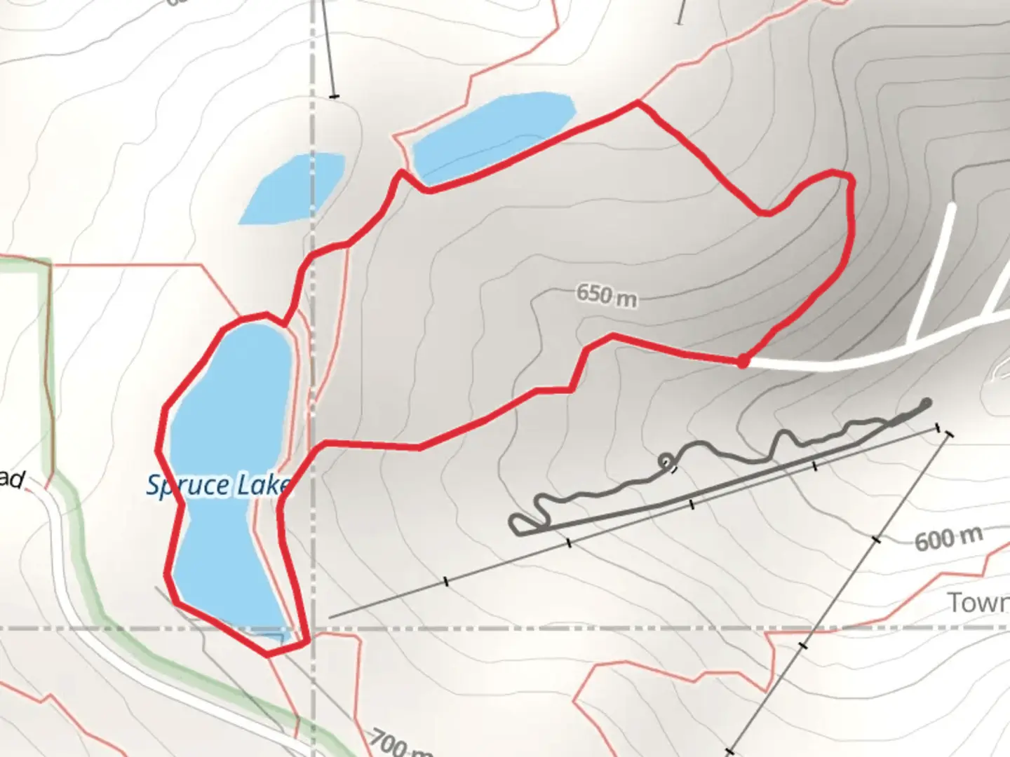 An image depicting the trail Spruce Lake Loop via Finger Lakes Trail and its surrounding area.