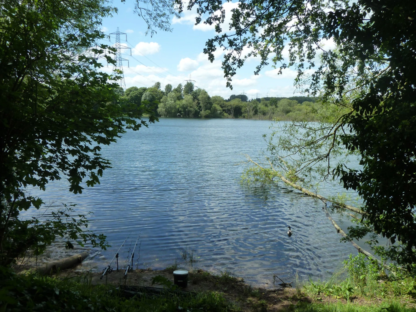 An image depicting the trail Tiddenfoot Lake and Grove Lock Marina Loop and its surrounding area.