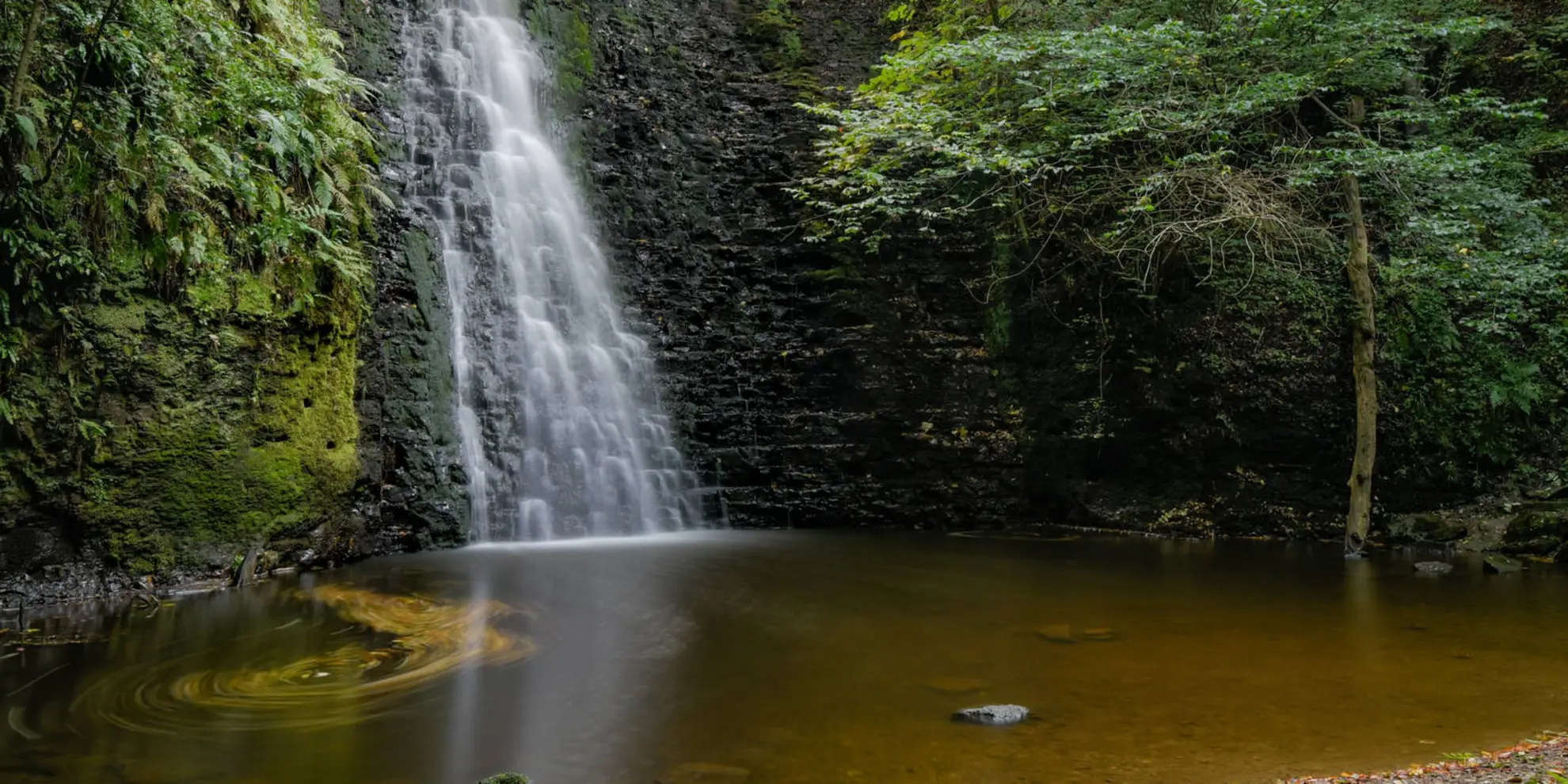 An image depicting the trail Falling Foss and The Hermitage Walk and its surrounding area.