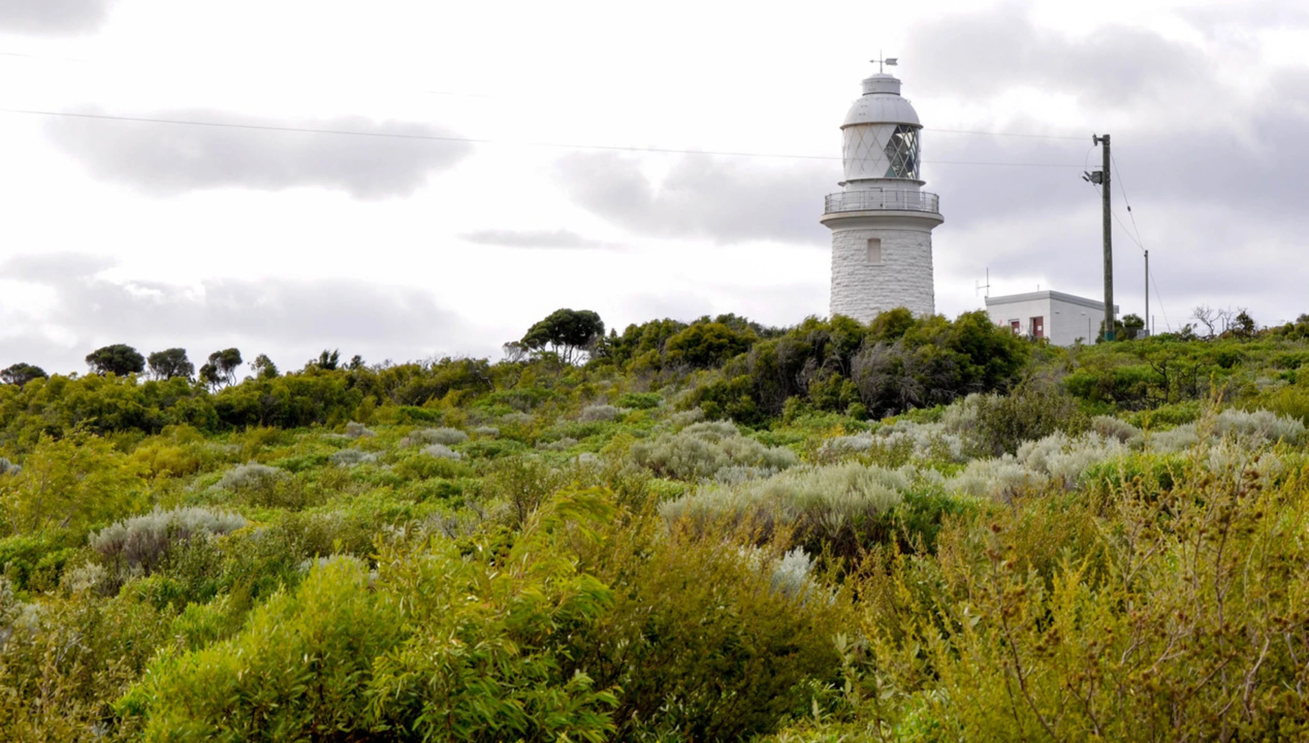 An image depicting the trail Whale Lookout Walk Trail and its surrounding area.