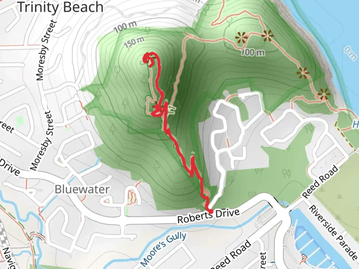 An image depicting the trail Woodland Walking Track and its surrounding area.