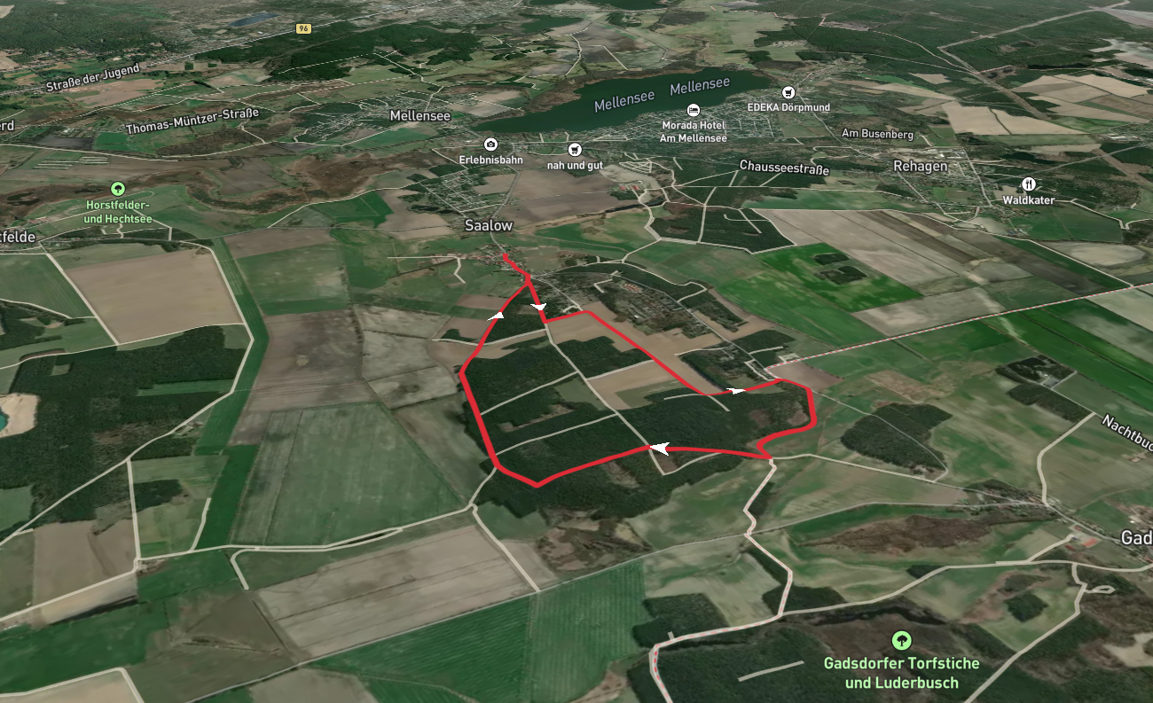 Saalower Hollenberg Loop