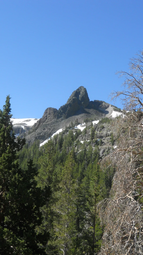 An image depicting the trail Paradise Valley via Disaster Creek Trail and its surrounding area.