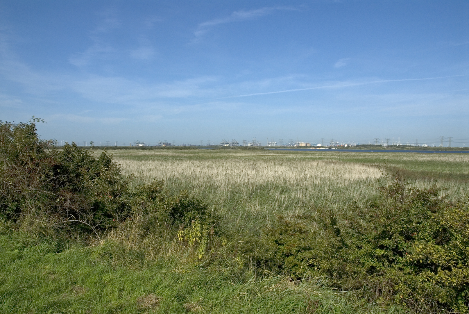An image depicting the trail Breede Water and Voornes Duin Loop and its surrounding area.