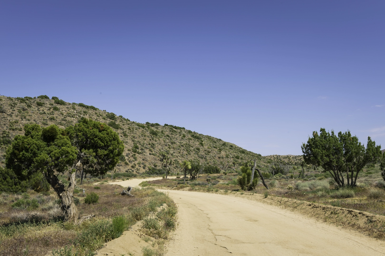 An image depicting the trail Lower Covington Flat Road Trail and its surrounding area.
