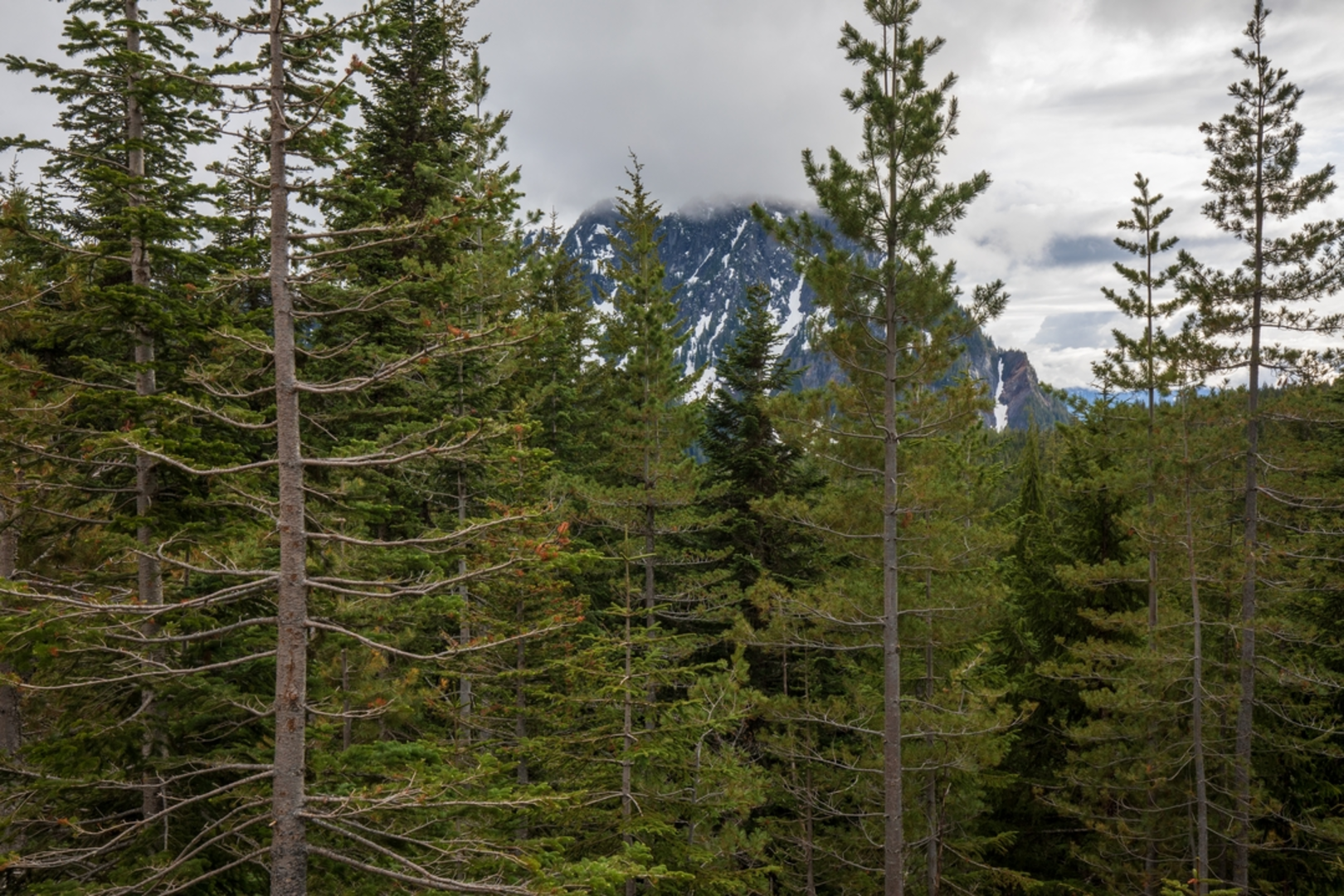 An image depicting the trail Eagle Peak and Chutla Peak Trail and its surrounding area.