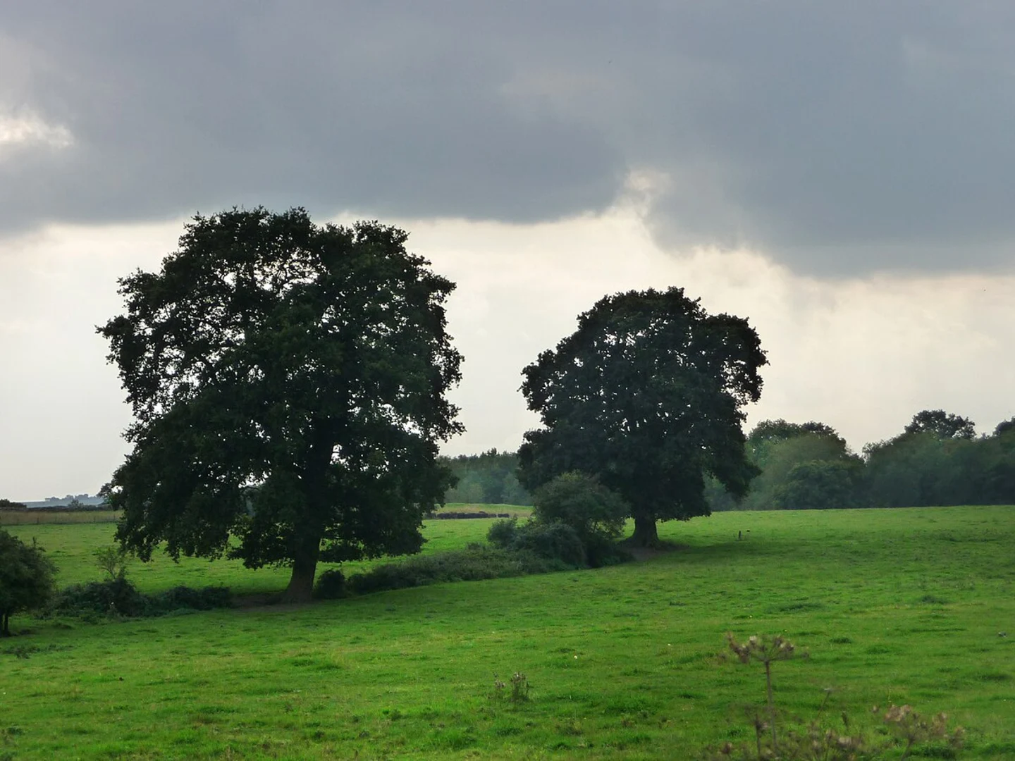An image depicting the trail Calleva Atrebatum Loop - Silchester and its surrounding area.
