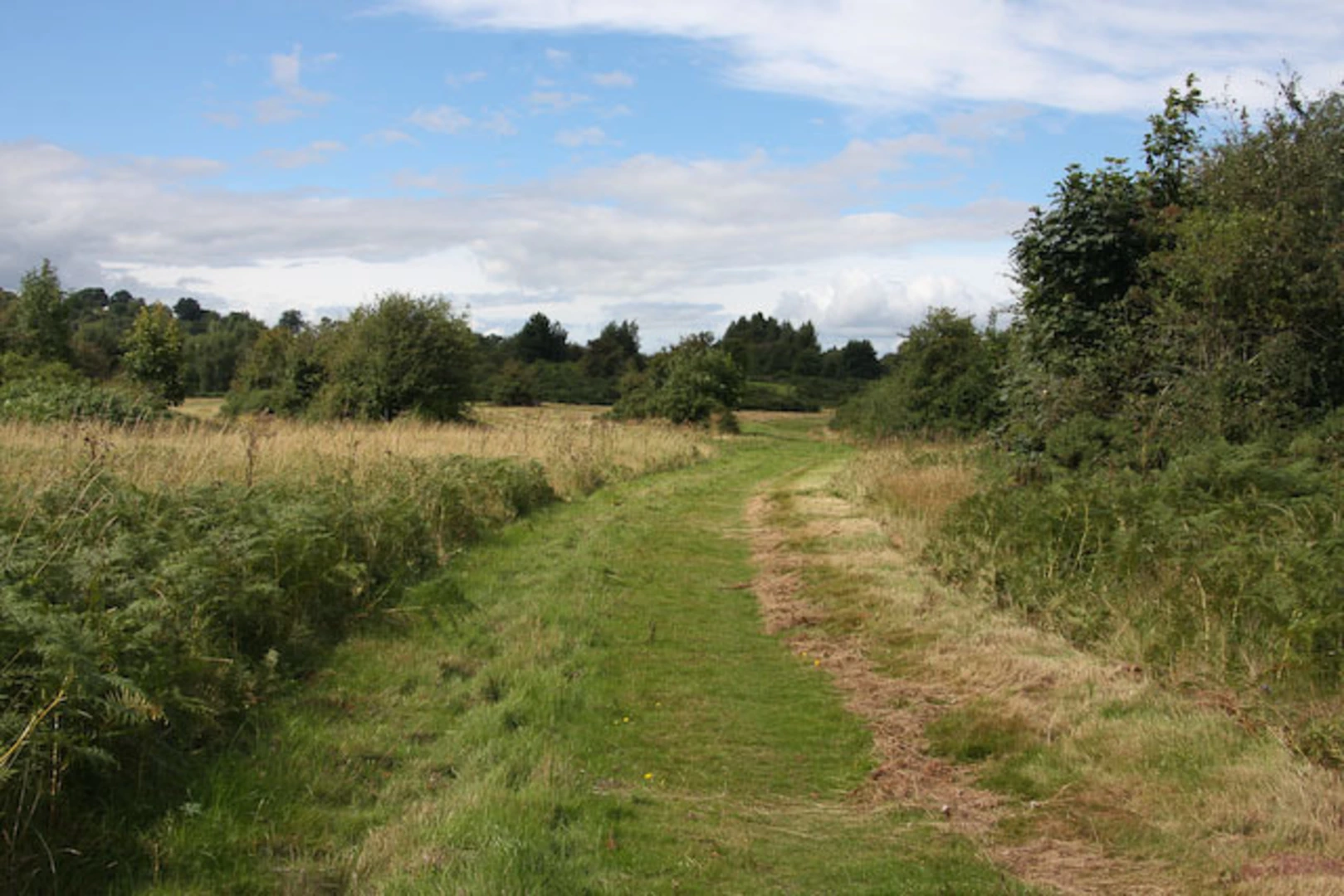 An image depicting the trail Ewyas Harold Common Loop and its surrounding area.