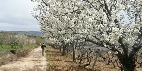 An image depicting the trail Sufi Trail and its surrounding area.