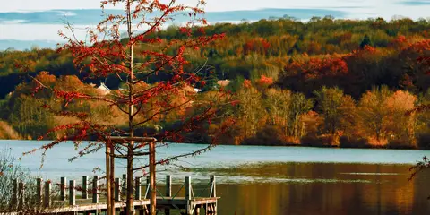 An image depicting the trail GR de Pays - Randonnée des Forts and its surrounding area.