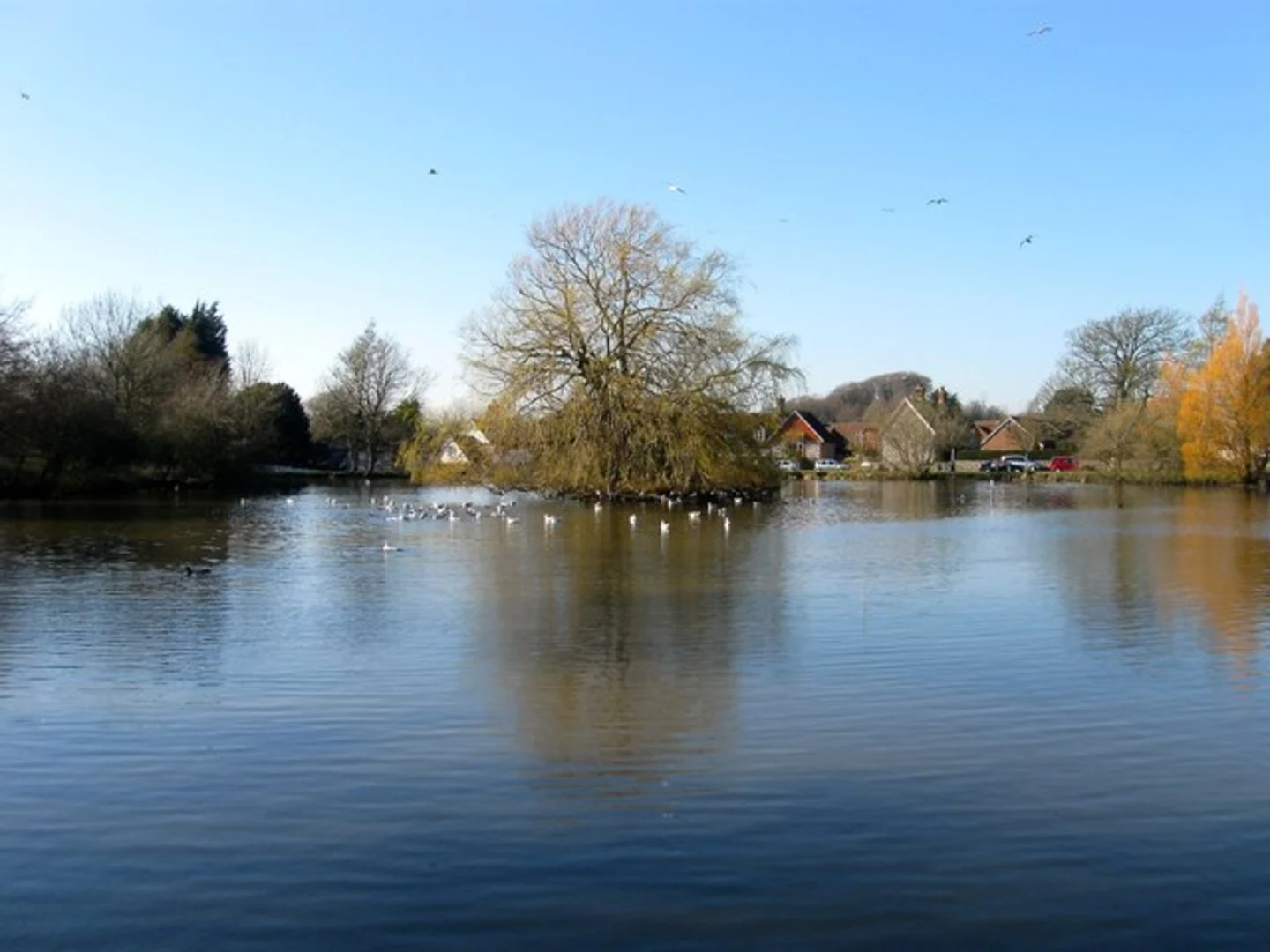 An image depicting the trail Falmer Pond Loop and its surrounding area.