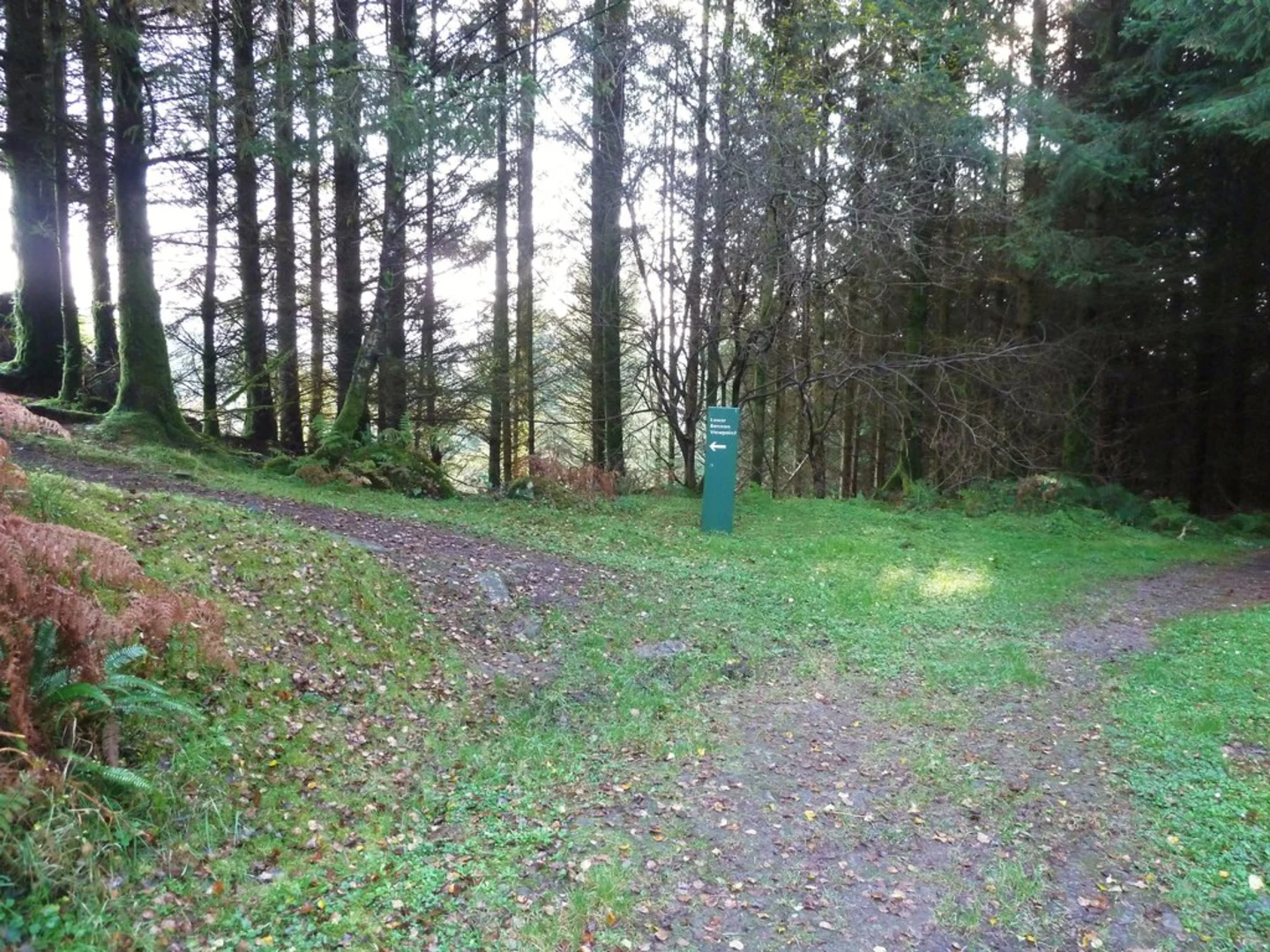 An image depicting the trail Bennan Viewpoint Loop Trail from Loch Ken and its surrounding area.