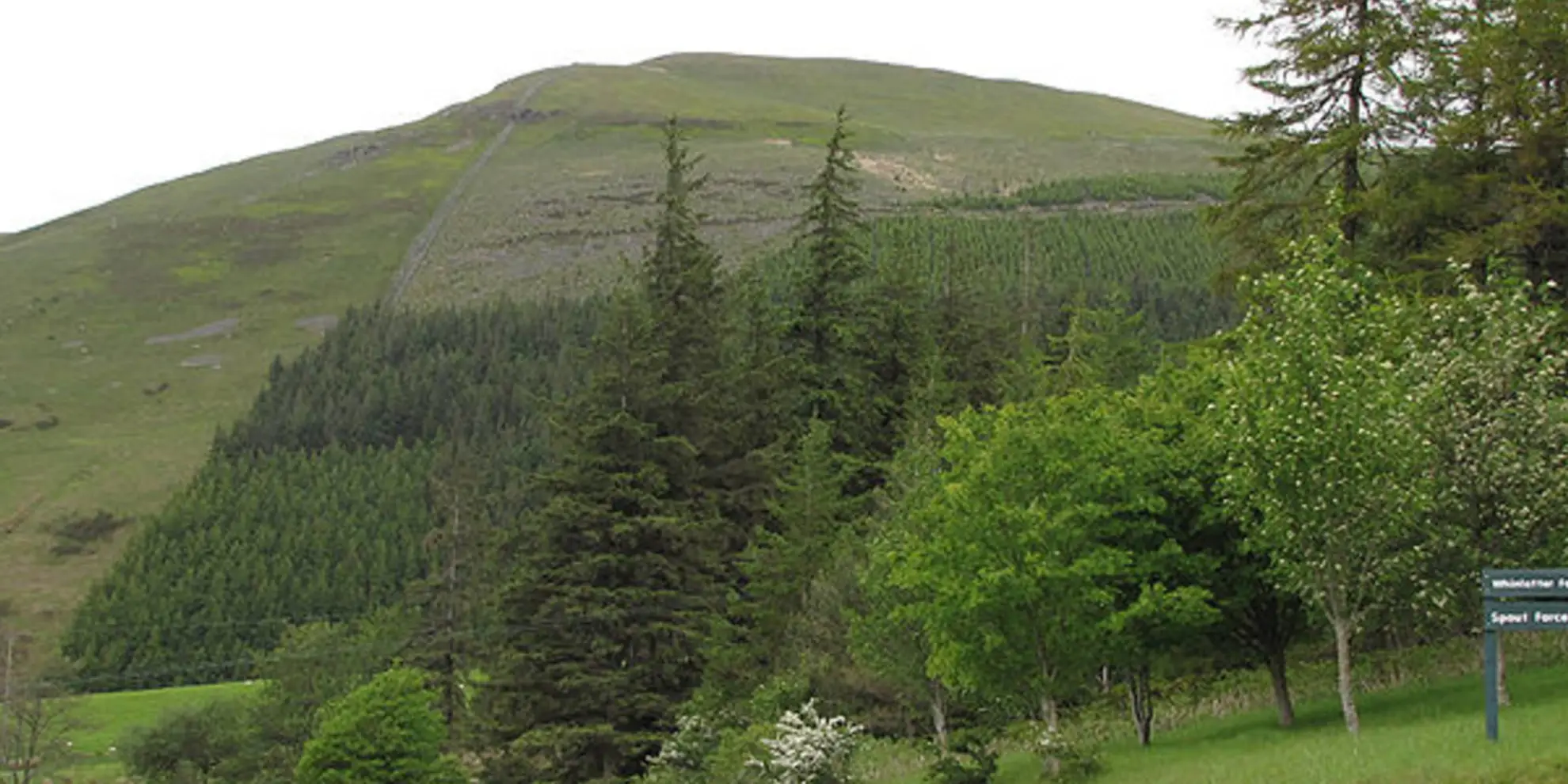 An image depicting the trail Words in the Woods Trail and its surrounding area.