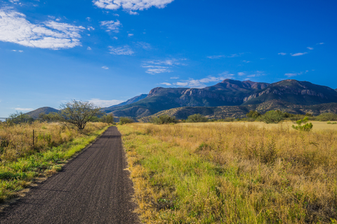 An image depicting the trail Peterson Peak Trail and its surrounding area.
