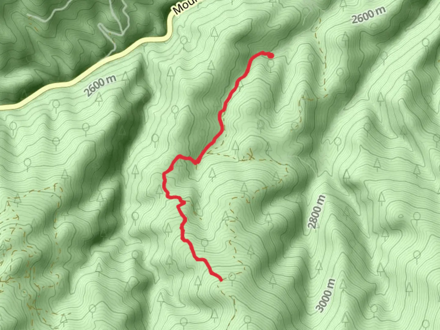 An image depicting the trail Barbour Fork from Soda Creek Road and its surrounding area.