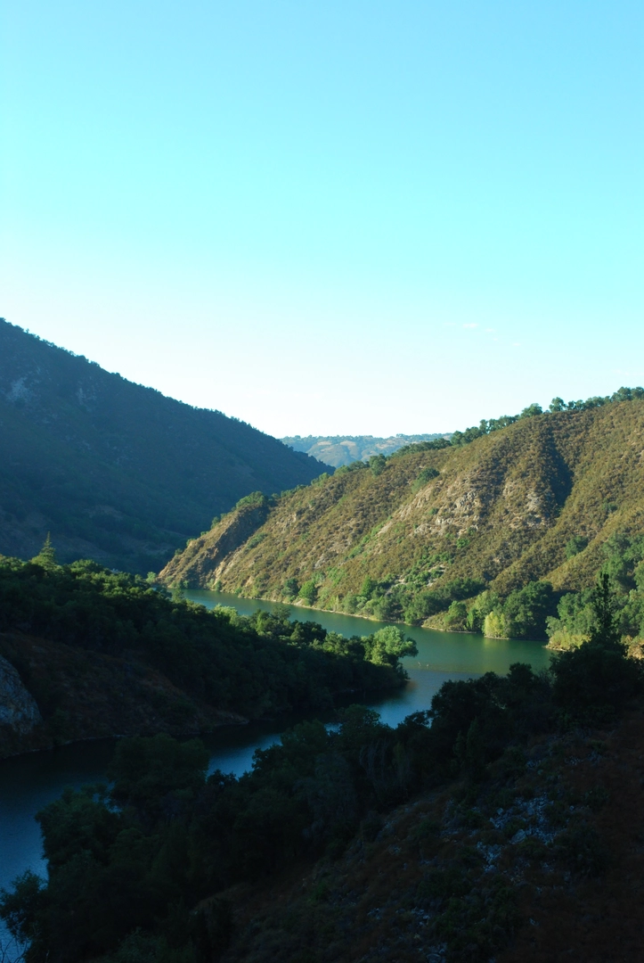 An image depicting the trail Carmel River Trail Out and Back and its surrounding area.
