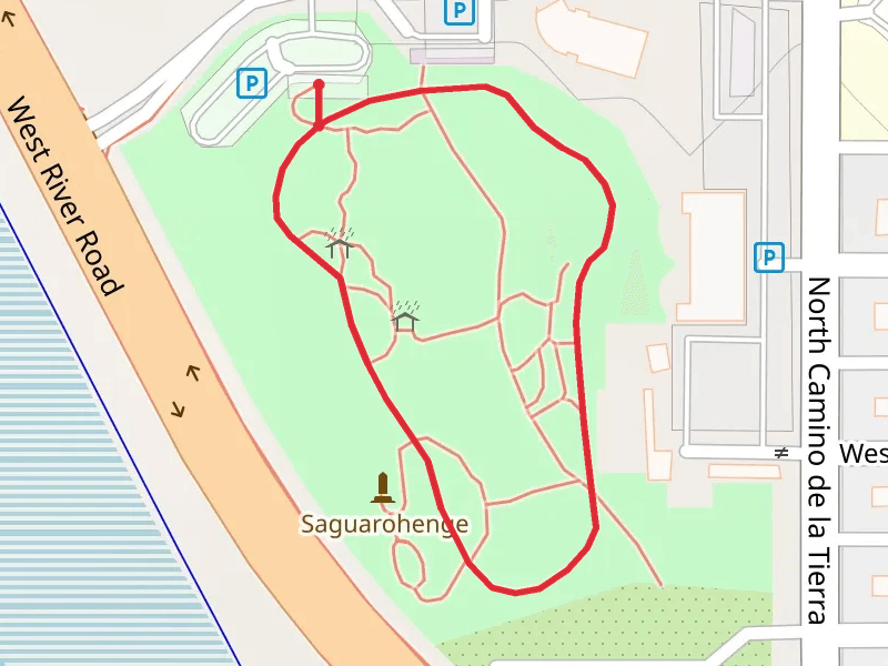 Pima Prickly Park Loop