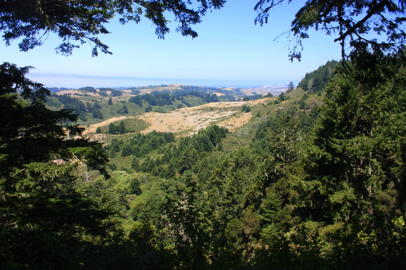 An image depicting the trail Cloverdale Loop and its surrounding area.