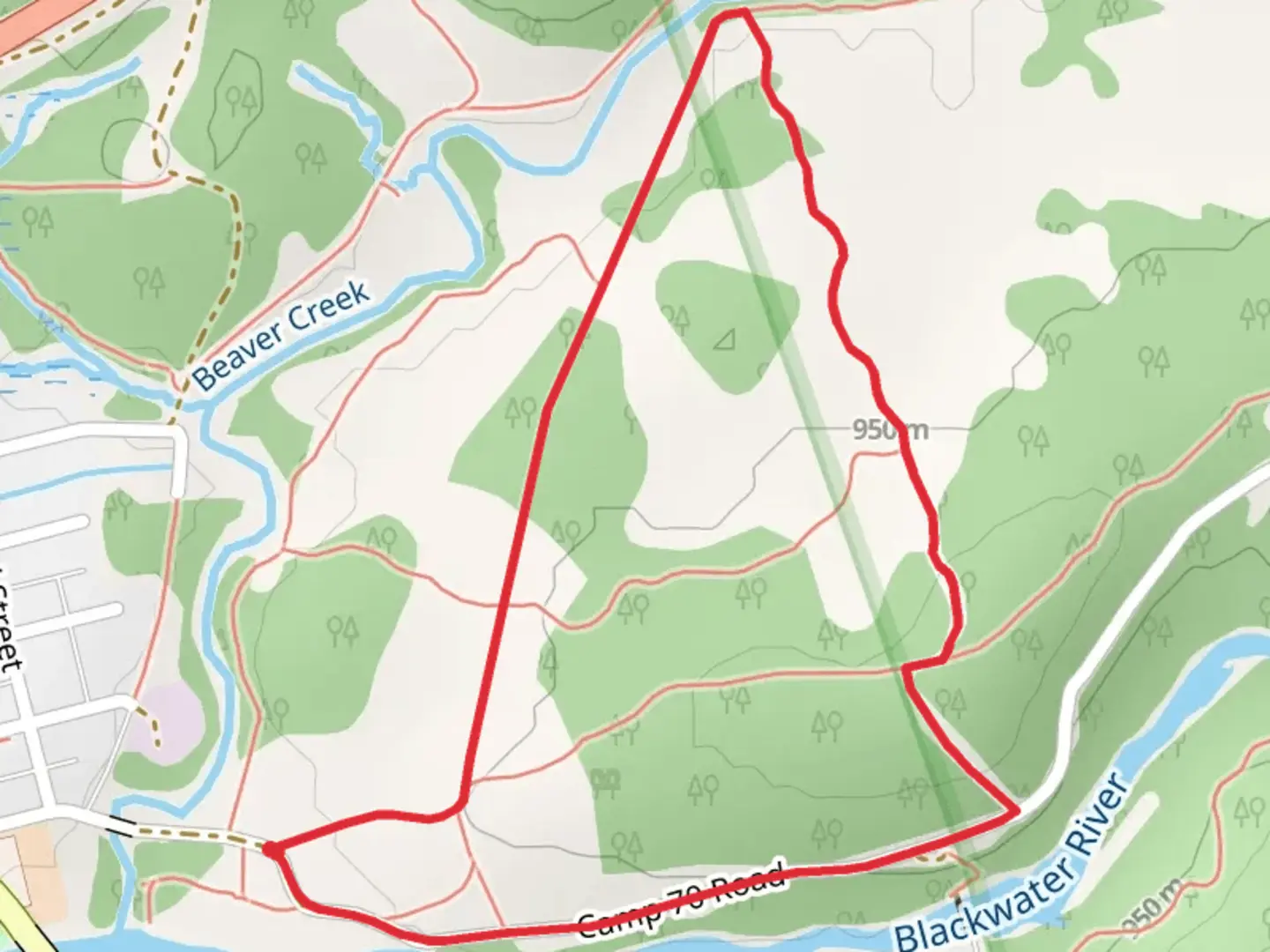 An image depicting the trail Blueberry Trail and White Trail Loop and its surrounding area.