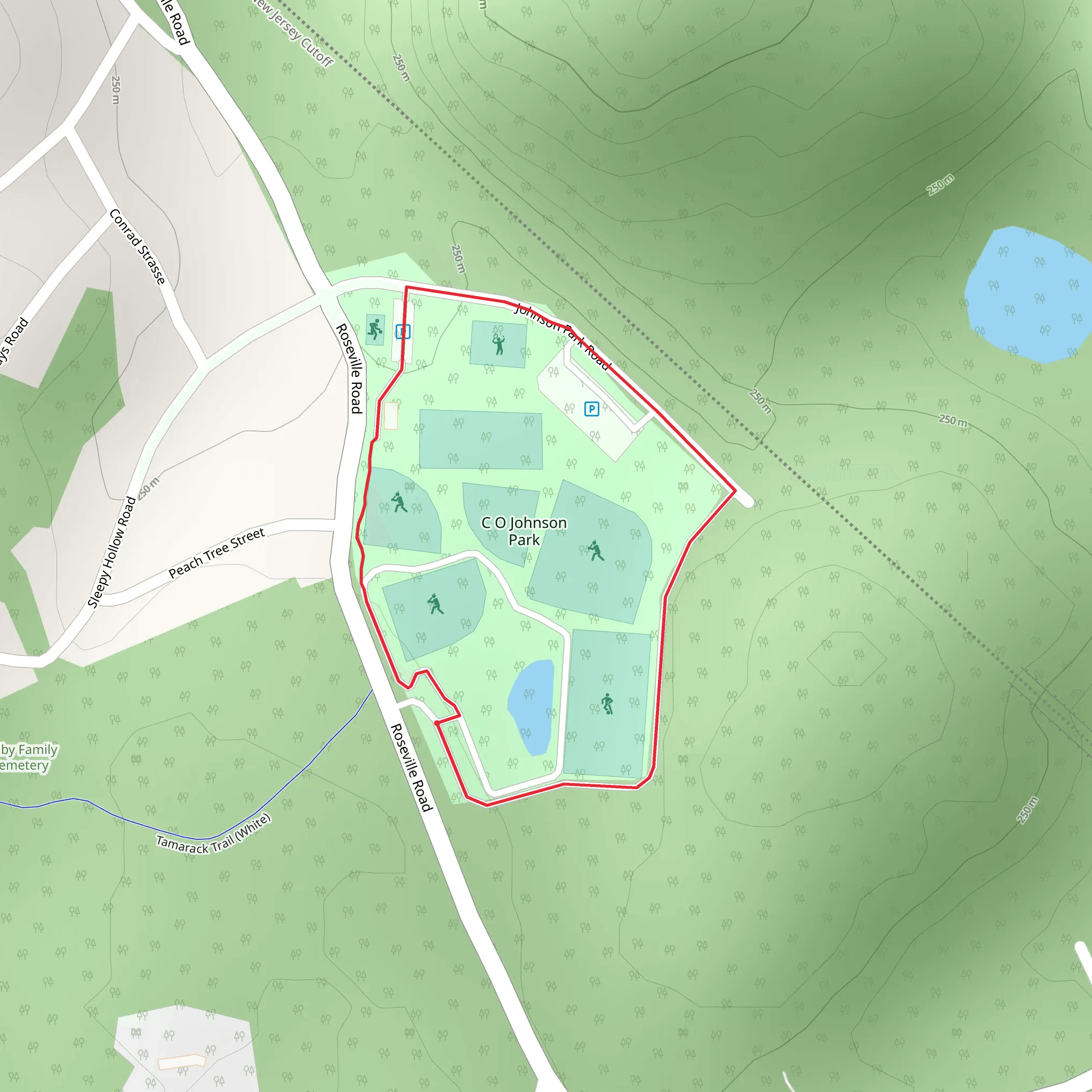 Johnson Park Road Loop mobile static map